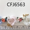 CFJ6563