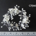 CFJ6655
