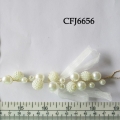 CFJ6656