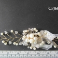 CFJ6658