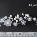 CFJ6659