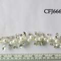 CFJ6661