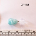 CFJ6668