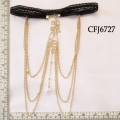 CFJ6727