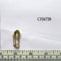 CFJ6728