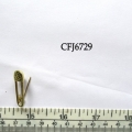 CFJ6729