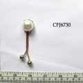 CFJ6730