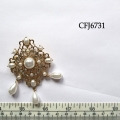 CFJ6731