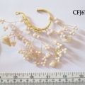 CFJ6734