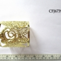 CFJ6739