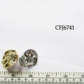 CFJ6741