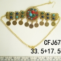 CFJ6754 (2)