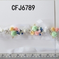 CFJ6789