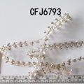 CFJ6793 (2)