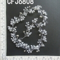 CFJ6808