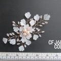 CFJ6816