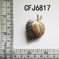 CFJ6817