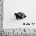 CFJ6822