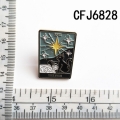 CFJ6828