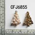 CFJ6855