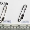 CFJ6856