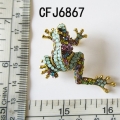 CFJ6867