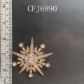 CFJ6890