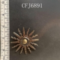 CFJ6891
