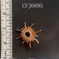 CFJ6895