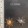 CFJ6896