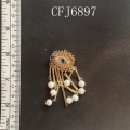 CFJ6897