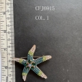 CFJ6915-COL.1
