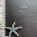 CFJ6915-COL.2