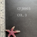 CFJ6915-COL.3