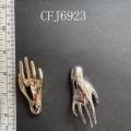 CFJ6923