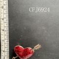 CFJ6924