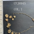 CFJ6945-COL.1