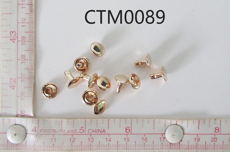 CTM0089