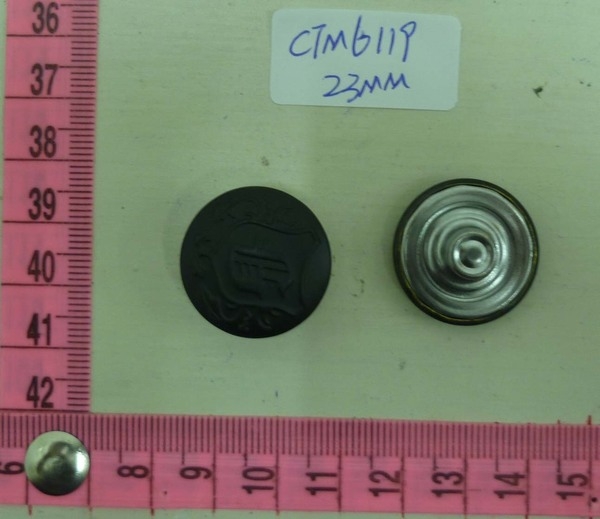 CTM6119