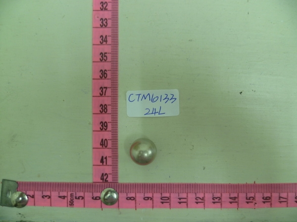 CTM6133