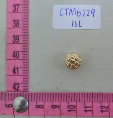 CTM6229