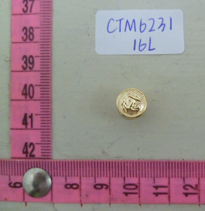 CTM6231