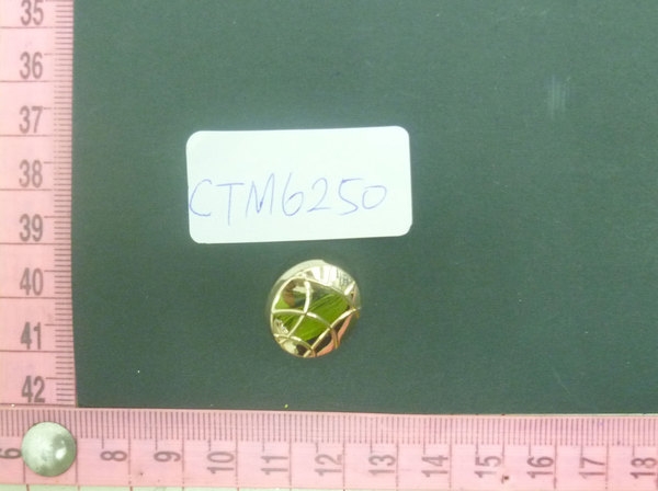 CTM6250