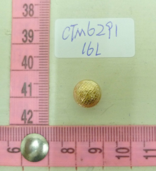 CTM6291