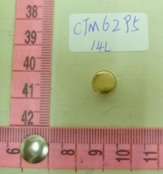 CTM6295
