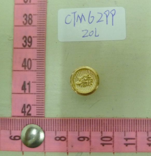 CTM6299