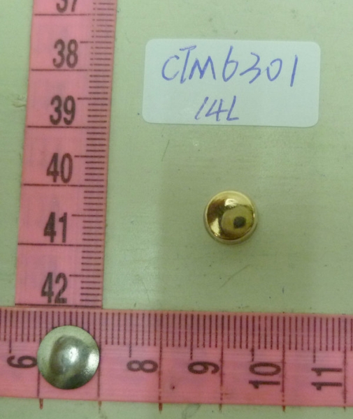CTM6301