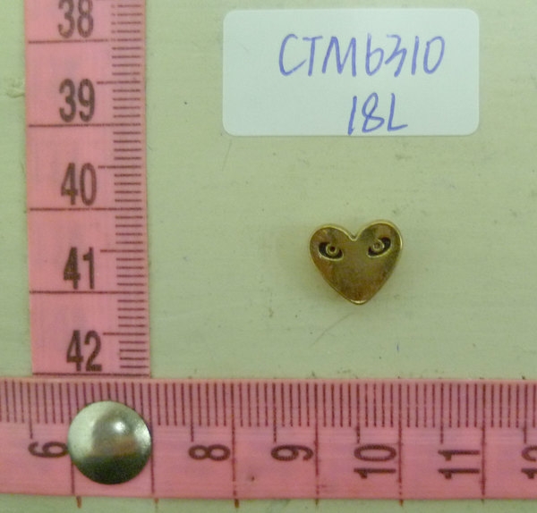 CTM6310