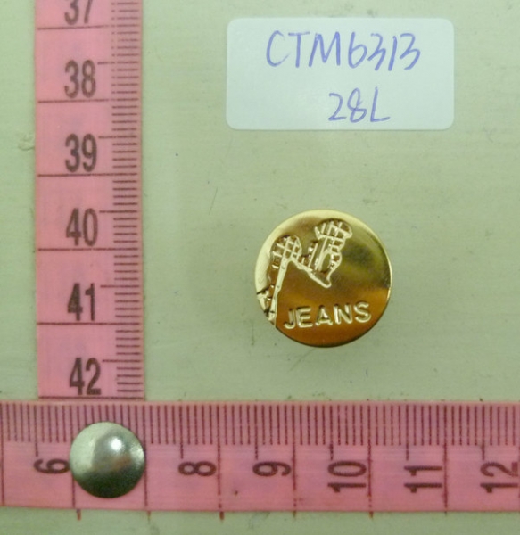 CTM6313
