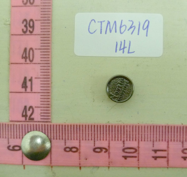 CTM6319